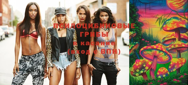 дживик Беломорск
