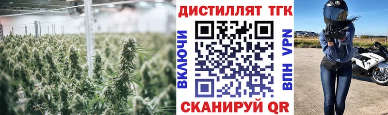 Дистиллят ТГК вейп с тгк  KRAKEN tor  Полесск  где найти наркотики 